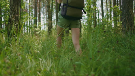Watch-a-woman-walking-in-sneakers-on-the-grass-in-the-woods-exploring-nature-and-beauty.-Legs-in-sneakers-go-on-the-grass